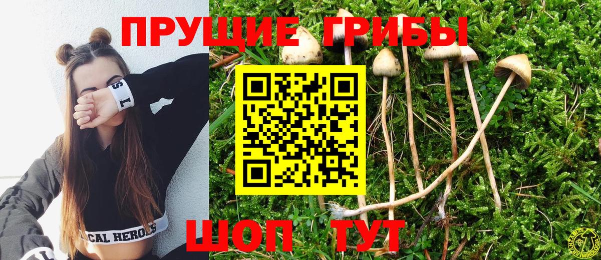Псилоцибиновые грибы Magic Shrooms Сосновоборск
